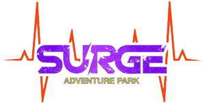 Image result for surge aventure park