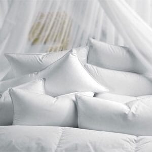 Deluxe Natural Goose Down Alternative 20 x26  Pillows (2 pack)- $30 with Free Shipping