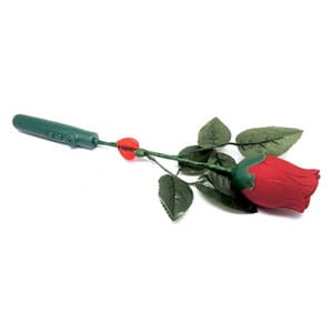 Recordable Rose - $14 with Free Shipping
