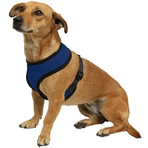 Dog Harness - $9 with FREE Shipping!